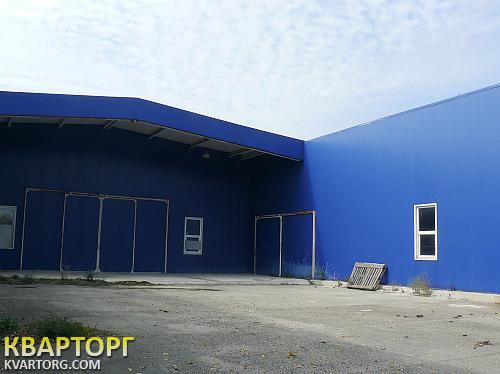 Rent out warehouse. Киевская обл., Барышевка — photo 4