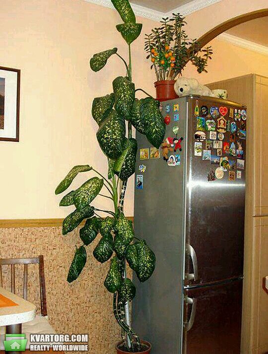 Sell 3-room apartment. Киев,  Порика — photo 4