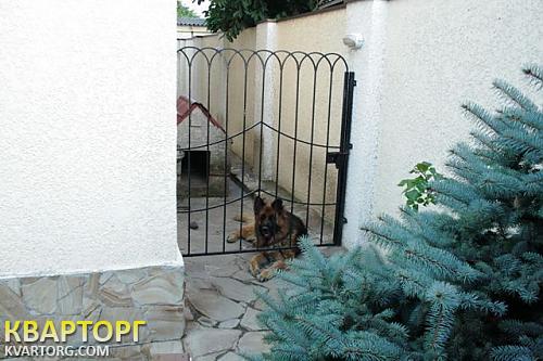 Sell house. Одесса, Львовская ул/Сумская ул — photo 6