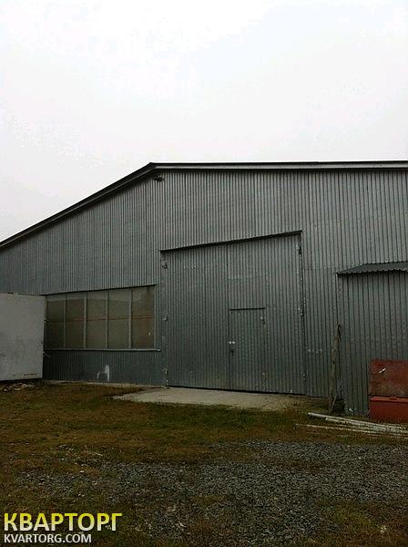 Rent out warehouse. Киев, Бородянский район с. Небрат ул. Гутниченко — photo 2
