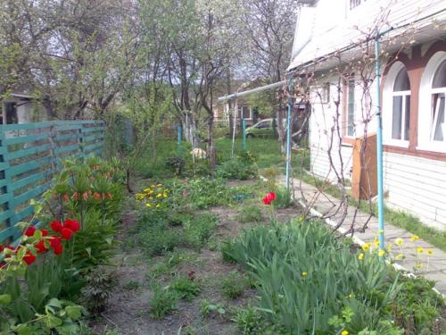 Sell house. Киевская обл., Озера 15 — photo 2
