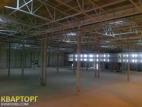 Rent out warehouse. Киевская обл., Петровское — photo 3