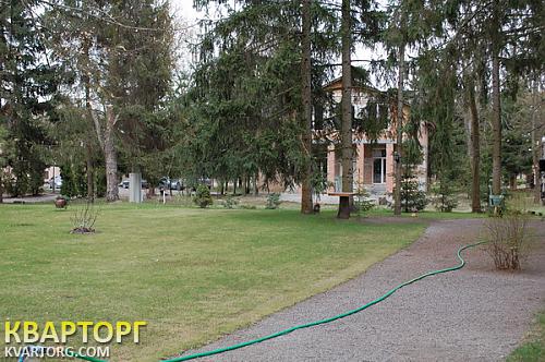 Sell house. Киевская обл., Летки — photo 7