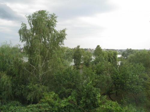 Sell house. Киевская обл., озерная — photo 4