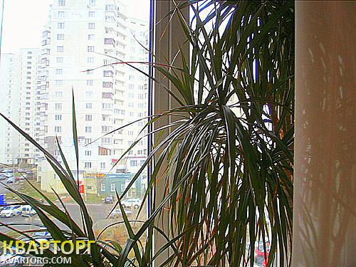сдам 2-комнатную квартиру. Киев,   Бажана - фото 7