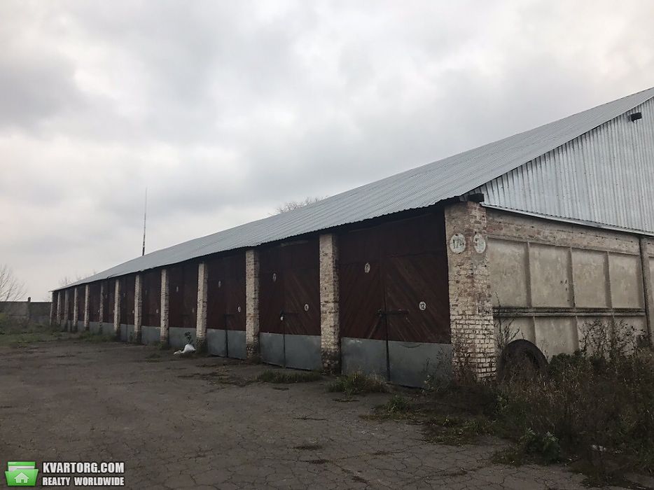 Sell warehouse. Киевская обл., Январский прорыв — photo 1