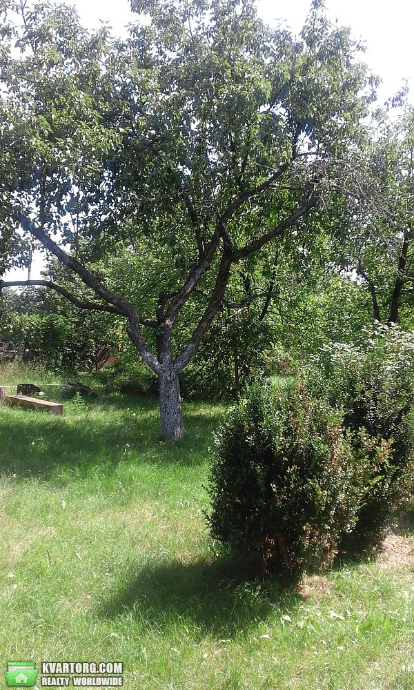 Sell house. Киевская обл., Воин 1 — photo 3