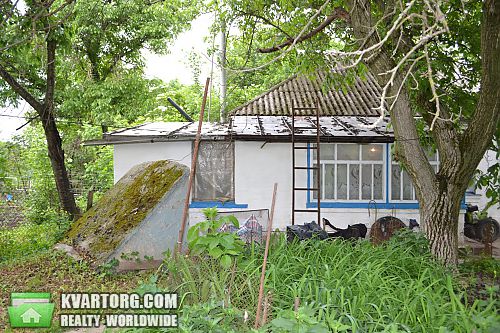 Sell house. Киевская обл., Колхозная — photo 8