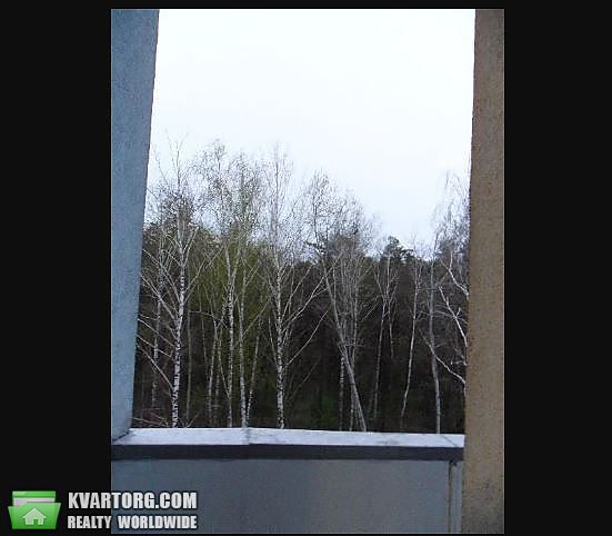 Rent out 1-room apartment. Киев, Бударіна — photo 4