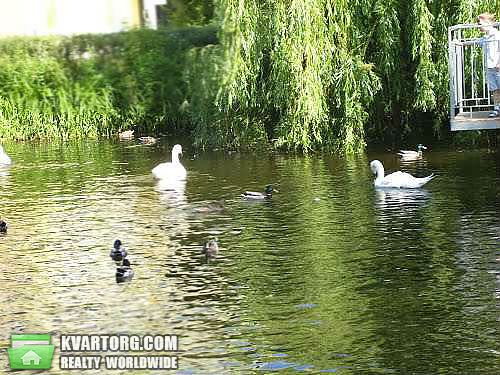Sell 1-room apartment. Киев,  Вышгородская — photo 7