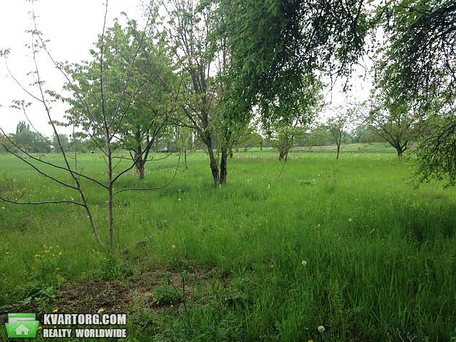 Sell house. Борисполь,  Луговая — photo 10