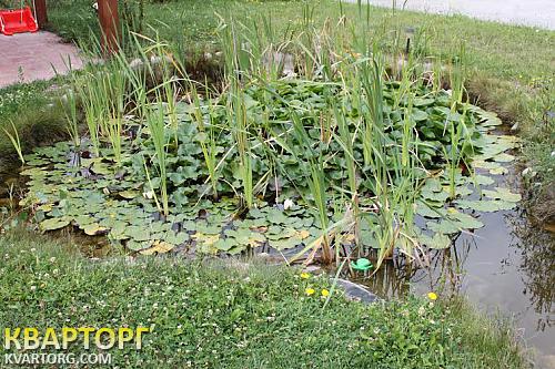 Rent out house. Обухов, Березовая — photo 4