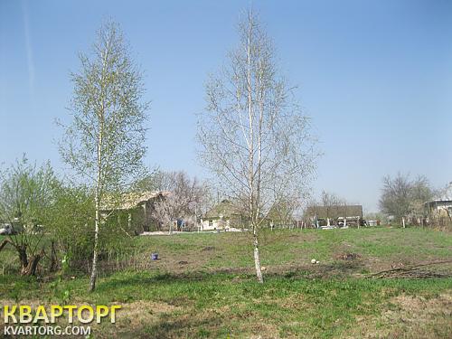 Sell house. Киевская обл., Летки — photo 4