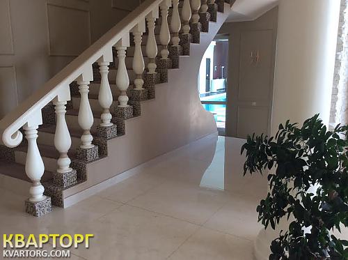 Rent out house. Киевская обл., Белогородка — photo 3