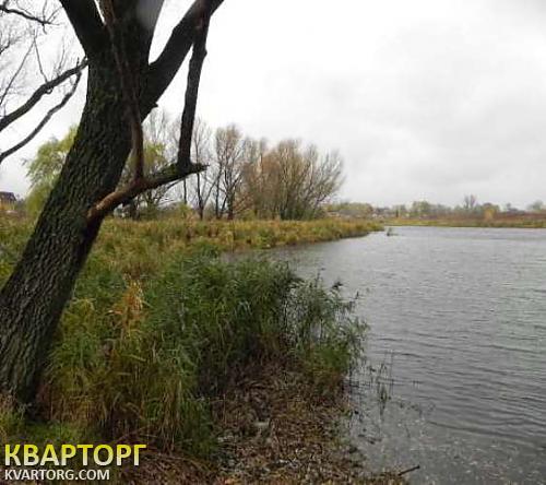 Sell house. Киевская обл., Войково — photo 10