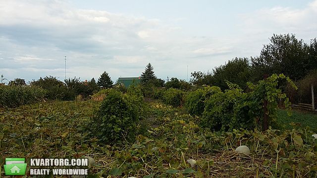 Sell house. Одесса, , с.Приморское — photo 3
