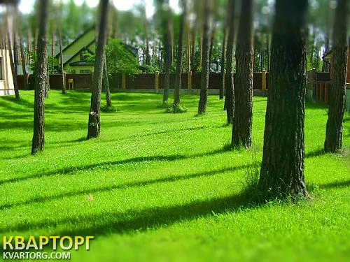 Sell house. Киевская обл., Романков — photo 2