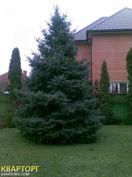Sell house. Киев, Малоземельная ул. — photo 10