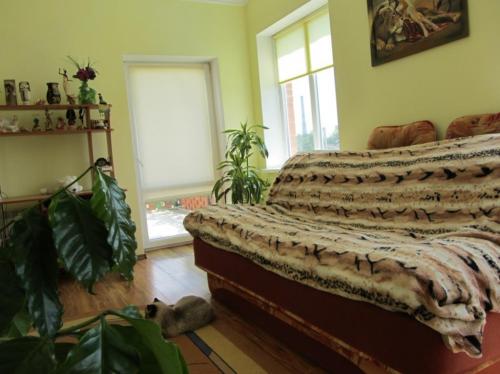 Rent out house. Киевская обл., Полевая — photo 7