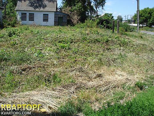 Sell house. Чернигов, Бобровица — photo 10