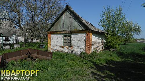Sell house. Киевская обл., с.Гребёнки — photo 5