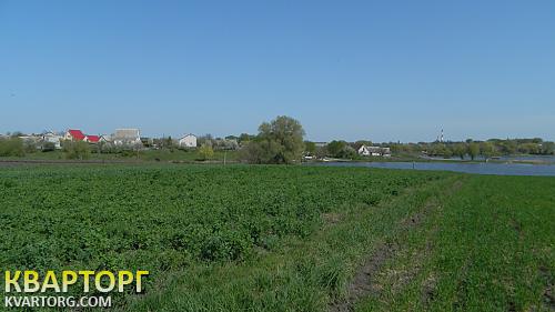 Sell house. Киевская обл., с.Гребёнки — photo 2