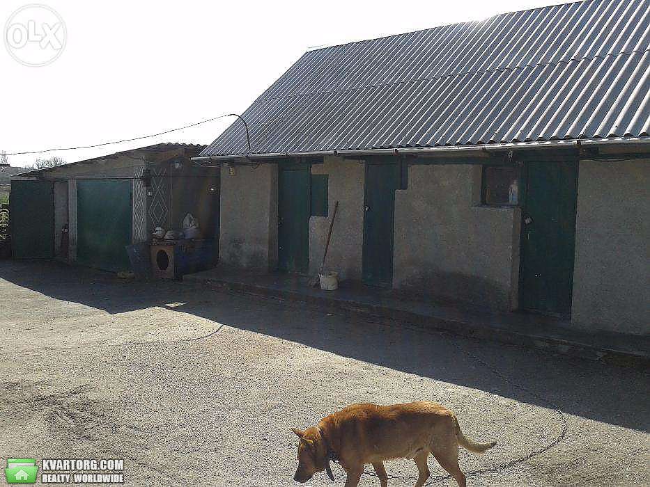 Sell house. Киевская обл., Квитнева — photo 9