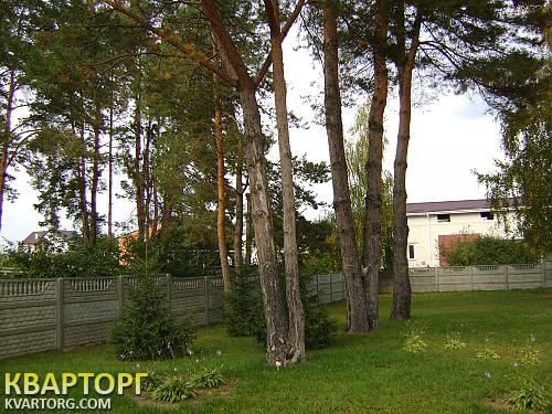 Rent out house. Киевская обл.,  Жукова — photo 4
