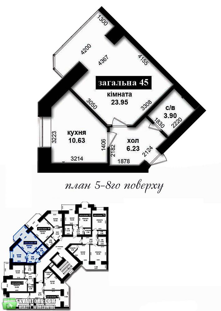  2-  , .  2/3 -  5