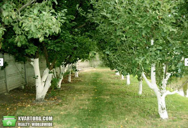 Sell house. Киевская обл.,  Озерная — photo 3