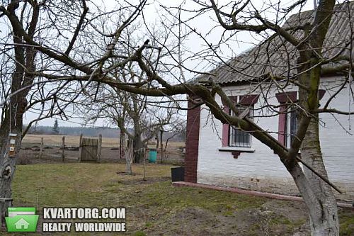 Sell house. Киевская обл., ленина — photo 2