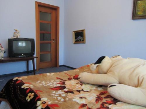 Rent out house. Киевская обл., Полевая — photo 5