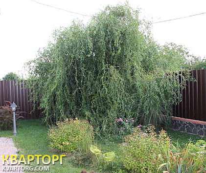 Sell house. Киевская обл., Киевская — photo 1
