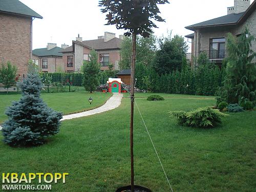 Rent out house. Киевская обл., романков — photo 2
