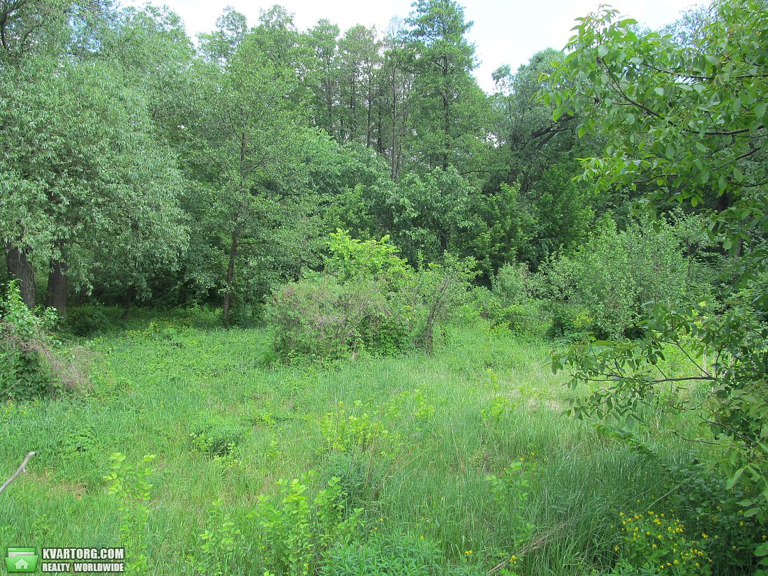 Sell house. Киев,  Левадная — photo 3