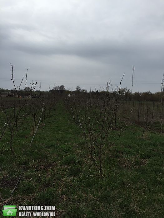 Sell house. Житомир, Котлярка — photo 10