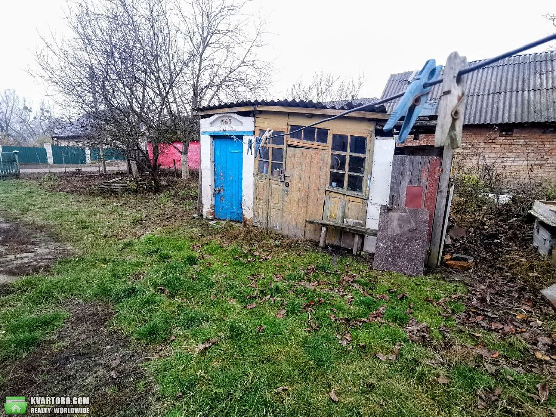 Sell house. Киевская обл., Кривошиївці — photo 8