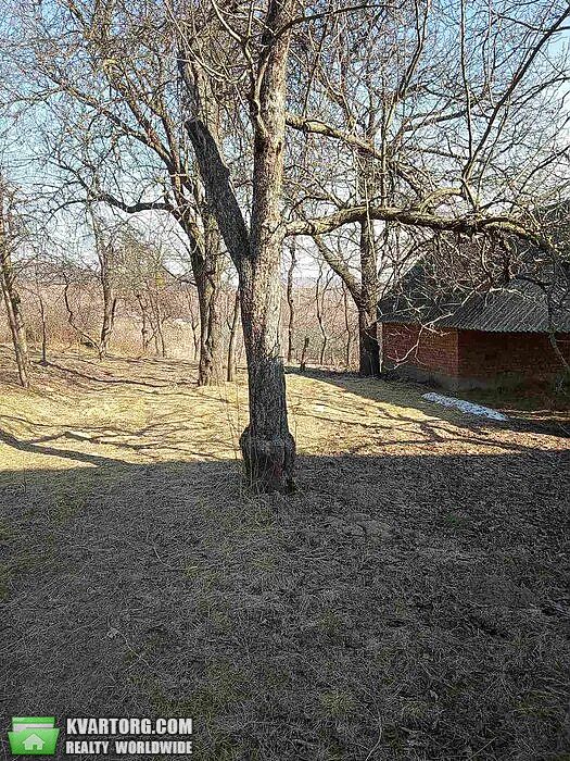 Sell house. Ужгород, Центральная — photo 3