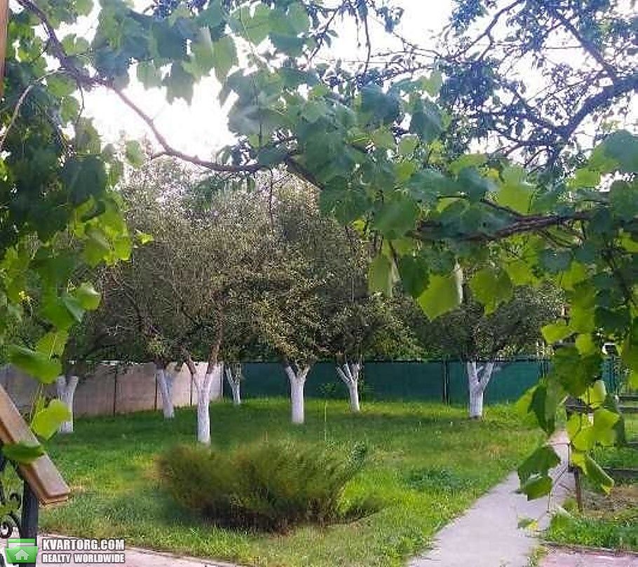 Sell house. Киевская обл., Ходосівка — photo 3