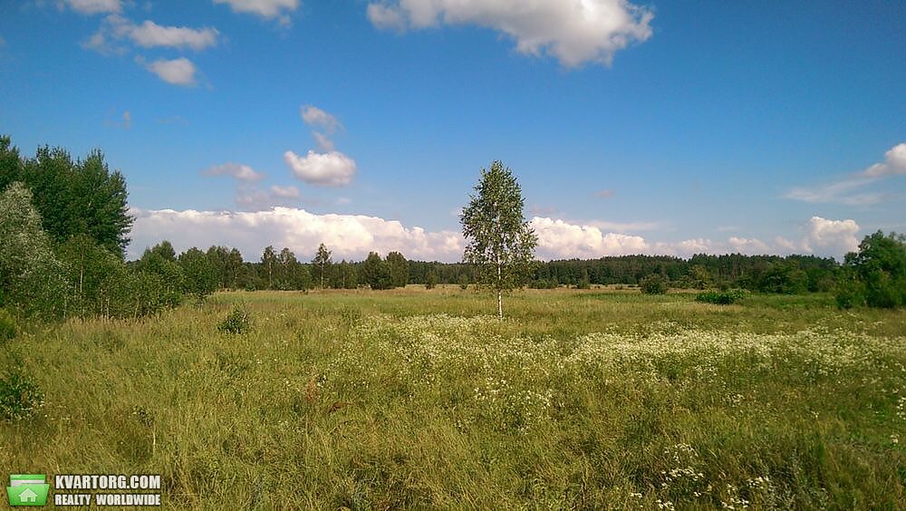 Sell house. Вышгород, Братьев Тимошекно — photo 2