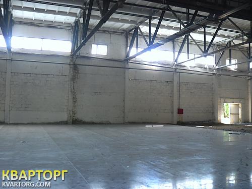 Rent out warehouse. Киев,  Столичное шоссе — photo 1