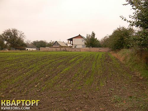 Sell house. Киевская обл., с. Оленовка — photo 5