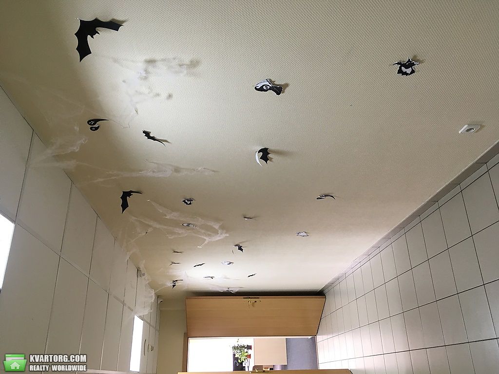 Rent out office. Киев, Глубочицкая — photo 4