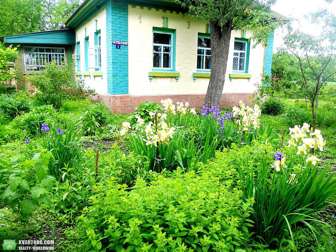 Sell house. Чернигов, Погребы — photo 1