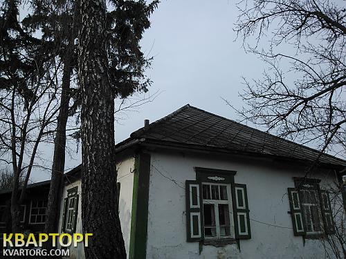 Sell house. Киевская обл., с. Большая Мотовиловка — photo 4