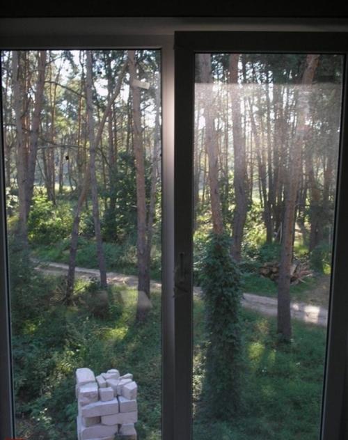 Sell house. Киевская обл., Васильков — photo 8