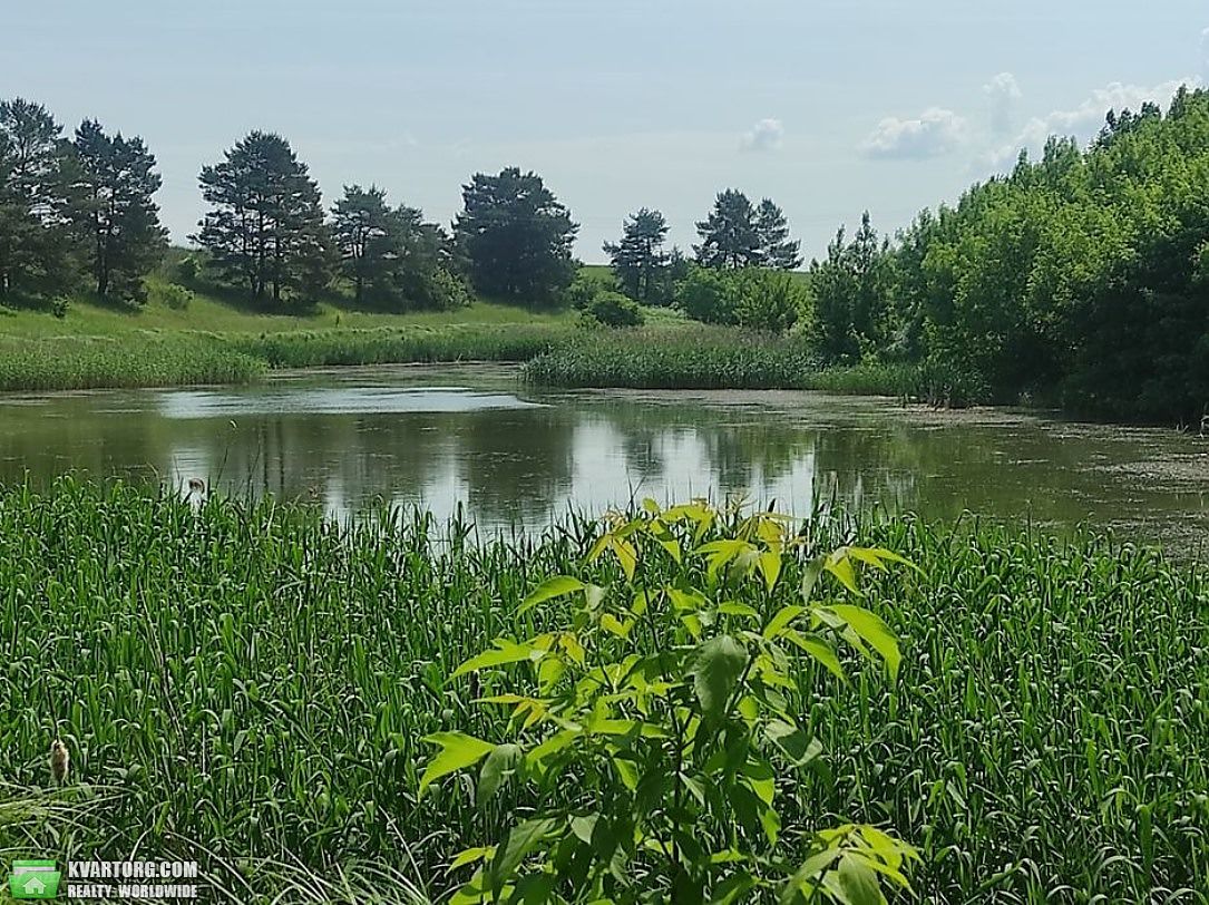 Sell house. Киевская обл., Великі Прицьки — photo 10