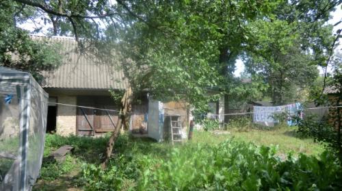 Sell house. Киевская обл., Коминтерна — photo 3
