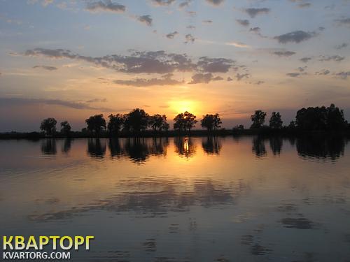 Sell house. Киев, Гнедын — photo 8