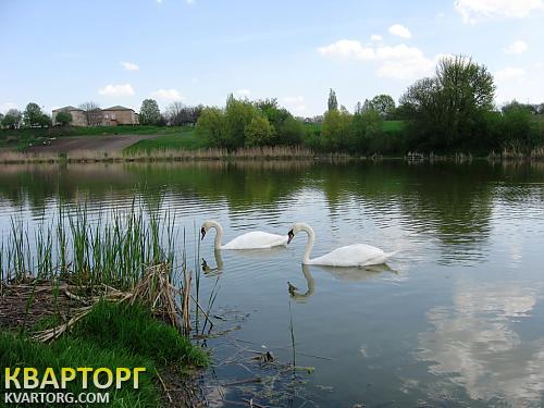 Sell house. Киевская обл., г.Узин — photo 9